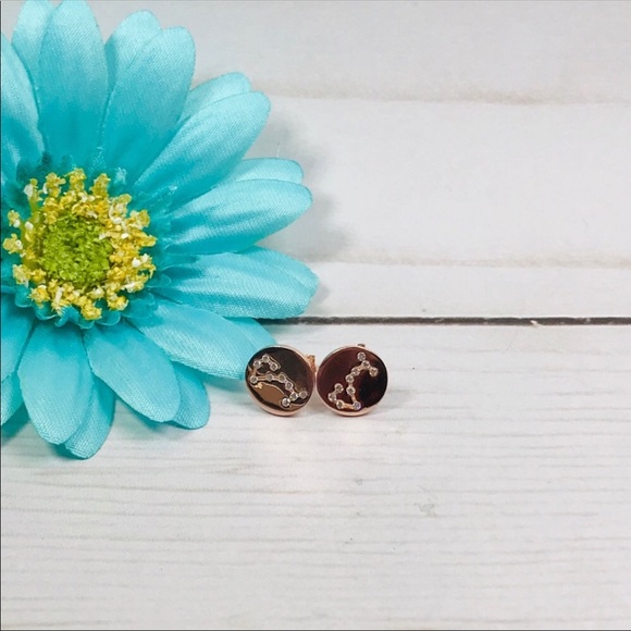 Sterling Silver Scorpio Earrings Rose Gold Plated - Picture 3 of 7